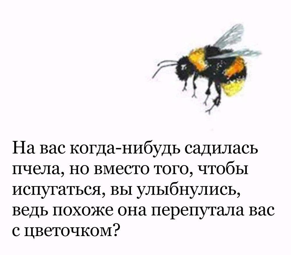 meme about bee